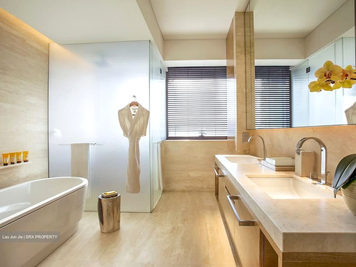 Hana (D10), Condominium #587593871